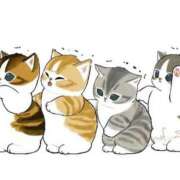 ヒメ日記 2025/11/13 20:01 投稿 チカ ラブコレクション