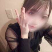 ひな いるよ〜〜 マドンナ浜松町