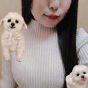 ヒメ日記 2025/11/03 17:30 投稿 ひなの 横浜HANDS（ハンズ）（ユメオト）