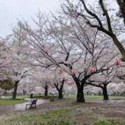 ひなの さくらみたよ🌸 横浜HANDS（ハンズ）（ユメオト）