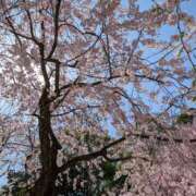 ひなの 今日の日記 横浜HANDS（ハンズ）（ユメオト）