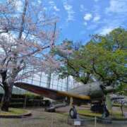 ヒメ日記 2026/04/03 11:45 投稿 椎名 あやめ こあくまな熟女たち 鶯谷・日暮里店(KOAKUMAグループ)