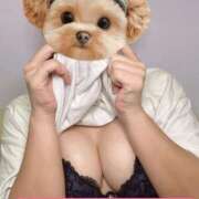 ヒメ日記 2025/10/26 20:55 投稿 ひめか バニラシュガー久喜店