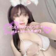 ヒメ日記 2025/12/31 14:50 投稿 かれん SPIN(スピン)