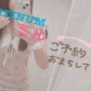 ヒメ日記 2025/10/21 10:53 投稿 ミル PLATINUM