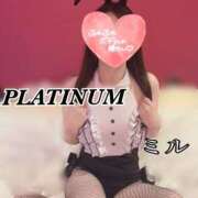 ヒメ日記 2025/10/25 16:27 投稿 ミル PLATINUM