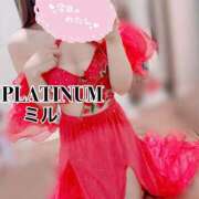 ヒメ日記 2025/11/17 23:19 投稿 ミル PLATINUM