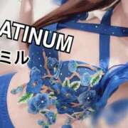 ヒメ日記 2025/11/20 00:19 投稿 ミル PLATINUM