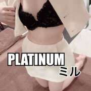 ヒメ日記 2025/12/14 12:19 投稿 ミル PLATINUM