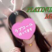 ヒメ日記 2025/12/23 14:05 投稿 ミル PLATINUM