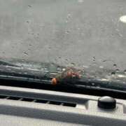 ヒメ日記 2025/11/07 22:10 投稿 八重樫 熟女の風俗最終章 横浜本店