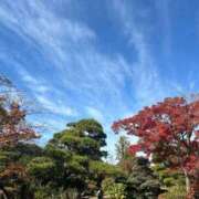 ヒメ日記 2025/11/24 16:37 投稿 八重樫 熟女の風俗最終章 横浜本店