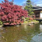 ヒメ日記 2025/11/25 20:44 投稿 八重樫 熟女の風俗最終章 横浜本店