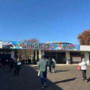 ヒメ日記 2025/11/30 10:38 投稿 八重樫 熟女の風俗最終章 横浜本店