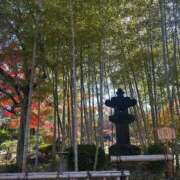 八重樫 すみません… 熟女の風俗最終章 横浜本店