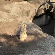 ヒメ日記 2025/12/15 11:54 投稿 八重樫 熟女の風俗最終章 横浜本店