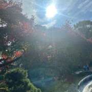 ヒメ日記 2025/12/23 11:04 投稿 八重樫 熟女の風俗最終章 横浜本店