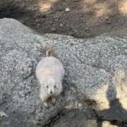 ヒメ日記 2025/12/24 10:07 投稿 八重樫 熟女の風俗最終章 横浜本店