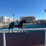 ヒメ日記 2026/01/14 11:15 投稿 八重樫 熟女の風俗最終章 横浜本店