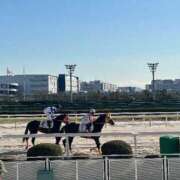 ヒメ日記 2026/01/14 13:17 投稿 八重樫 熟女の風俗最終章 横浜本店