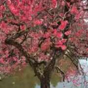 ヒメ日記 2026/02/28 07:13 投稿 こう 五反田・品川おかあさん