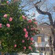 ヒメ日記 2026/03/08 00:03 投稿 こう 五反田・品川おかあさん