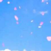 ヒメ日記 2026/03/22 07:43 投稿 こう 五反田・品川おかあさん