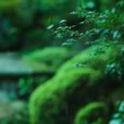 こう 日曜日は出勤です💕 五反田・品川おかあさん