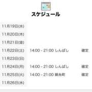 ヒメ日記 2025/11/20 00:00 投稿 ひなの 世界のあんぷり亭 新橋店