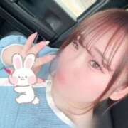 ヒメ日記 2025/11/09 17:05 投稿 こなつ 福岡飯塚田川ちゃんこ