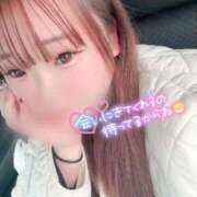 ヒメ日記 2025/11/13 10:27 投稿 こなつ 福岡飯塚田川ちゃんこ