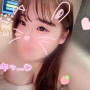 ヒメ日記 2025/11/21 08:05 投稿 こなつ 福岡飯塚田川ちゃんこ