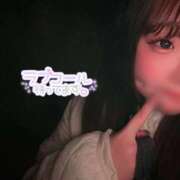 ヒメ日記 2025/11/21 18:45 投稿 こなつ 福岡飯塚田川ちゃんこ