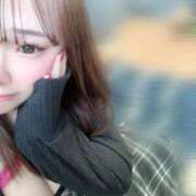 こなつ 戻りました🐾 福岡飯塚田川ちゃんこ