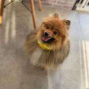 ヒメ日記 2025/10/24 17:13 投稿 ラブブちゃん Cawaiiハイ！スクールリターンズ