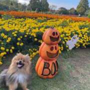 ヒメ日記 2025/10/26 19:01 投稿 ラブブちゃん Cawaiiハイ！スクールリターンズ