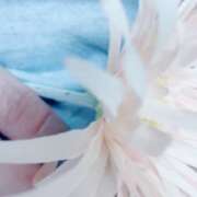 ヒメ日記 2026/02/12 12:04 投稿 ももこ モアグループ小山人妻花壇