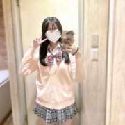ヒメ日記 2025/10/24 12:31 投稿 ひまわり 新宿女学園