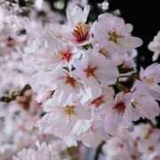 ヒメ日記 2025/11/06 23:08 投稿 (新人)ゆう エレガンス(広島)