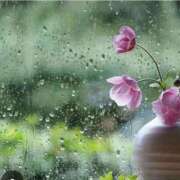 ヒメ日記 2025/11/09 08:02 投稿 吉井 熟女デリヘル倶楽部