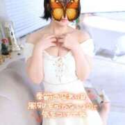 ヒメ日記 2025/11/11 22:00 投稿 佐久間しらゆき セレブショップ新宿（東京ハレ系）