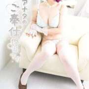 ヒメ日記 2025/11/19 07:00 投稿 佐久間しらゆき セレブショップ新宿（東京ハレ系）