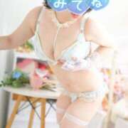 ヒメ日記 2025/12/01 07:00 投稿 佐久間しらゆき セレブショップ新宿（東京ハレ系）