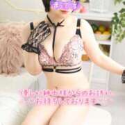 ヒメ日記 2026/03/02 07:00 投稿 佐久間しらゆき セレブショップ新宿（東京ハレ系）