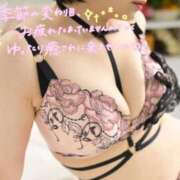 ヒメ日記 2026/04/10 07:02 投稿 佐久間しらゆき セレブショップ新宿（東京ハレ系）