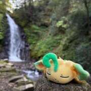 ヒメ日記 2025/11/09 15:03 投稿 佐久間こゆき 福井性感回春アロマSpa