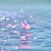 ヒメ日記 2025/11/19 08:03 投稿 佐久間こゆき 福井性感回春アロマSpa