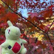 ヒメ日記 2025/11/29 15:33 投稿 佐久間こゆき 福井性感回春アロマSpa