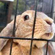 ヒメ日記 2026/01/13 22:48 投稿 佐久間こゆき 福井性感回春アロマSpa