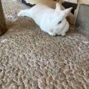 ヒメ日記 2026/01/22 20:18 投稿 佐久間こゆき 福井性感回春アロマSpa